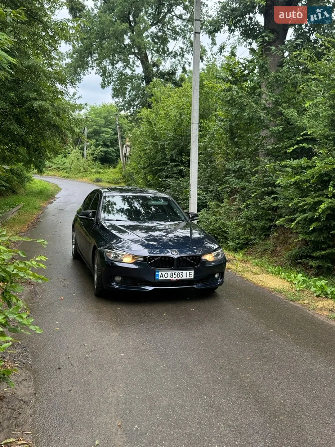 2014 BMW 3er - мініатюра 4