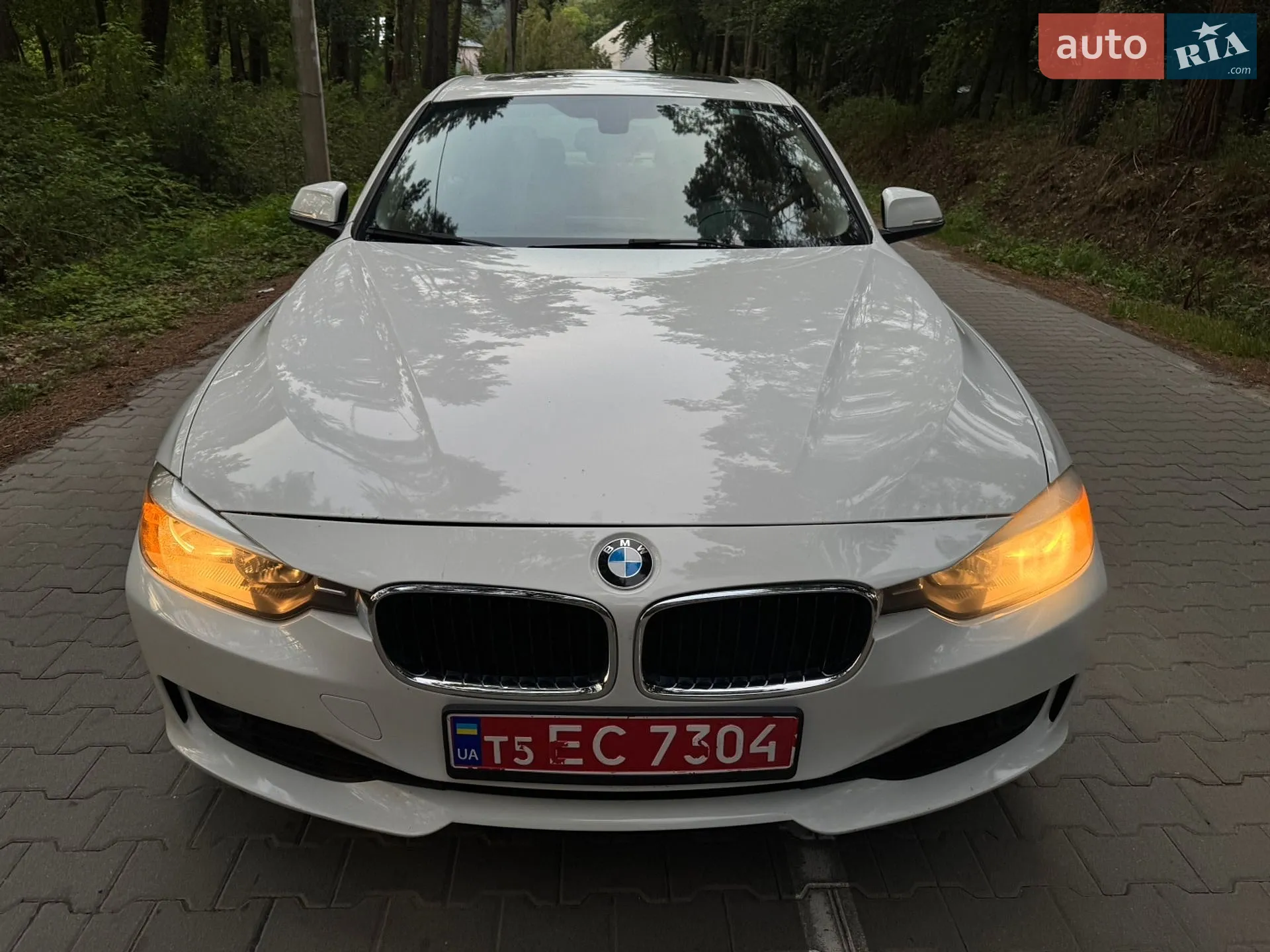 2013 BMW 3er - мініатюра 2