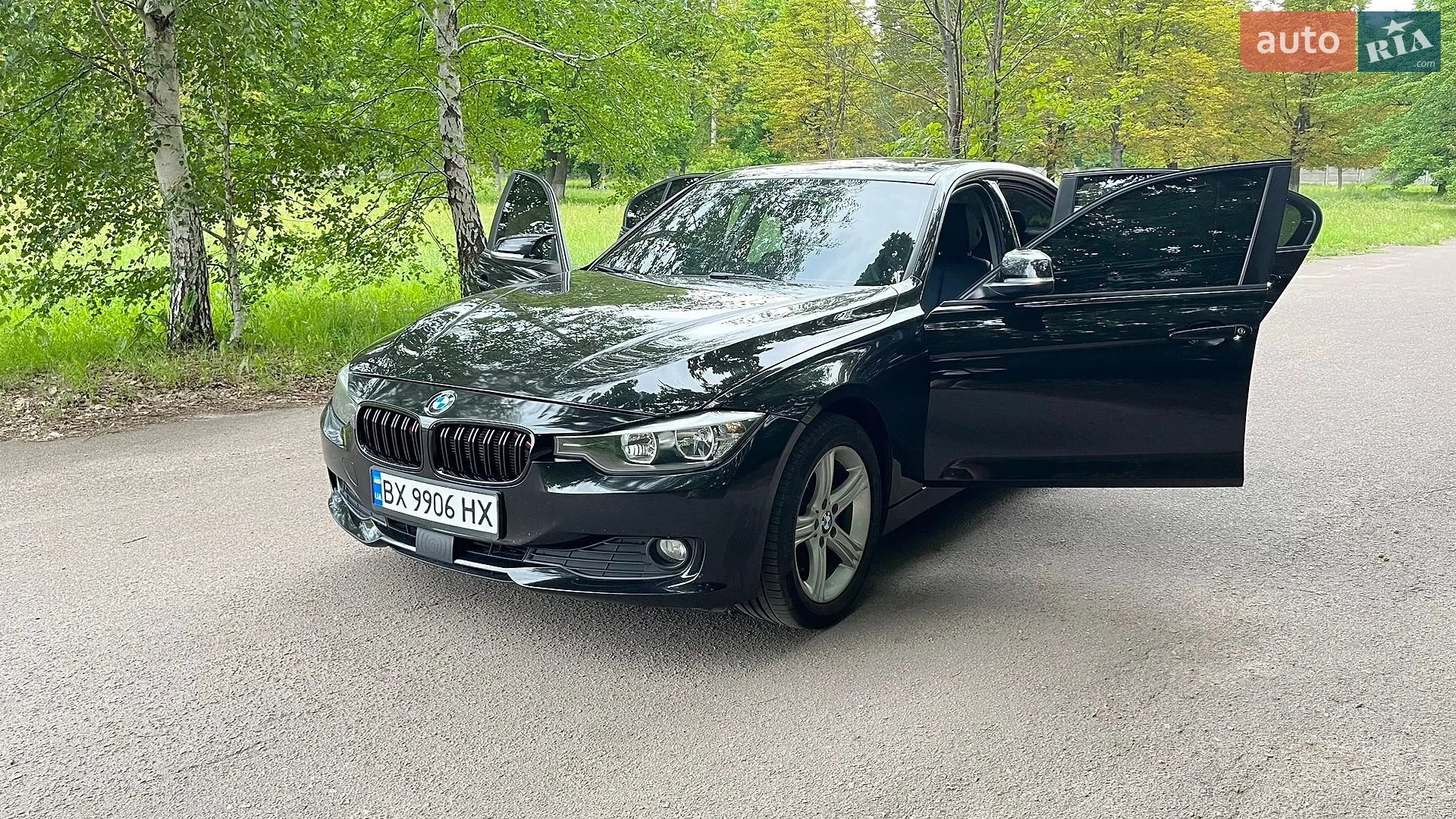 2013 BMW 3er - мініатюра 2