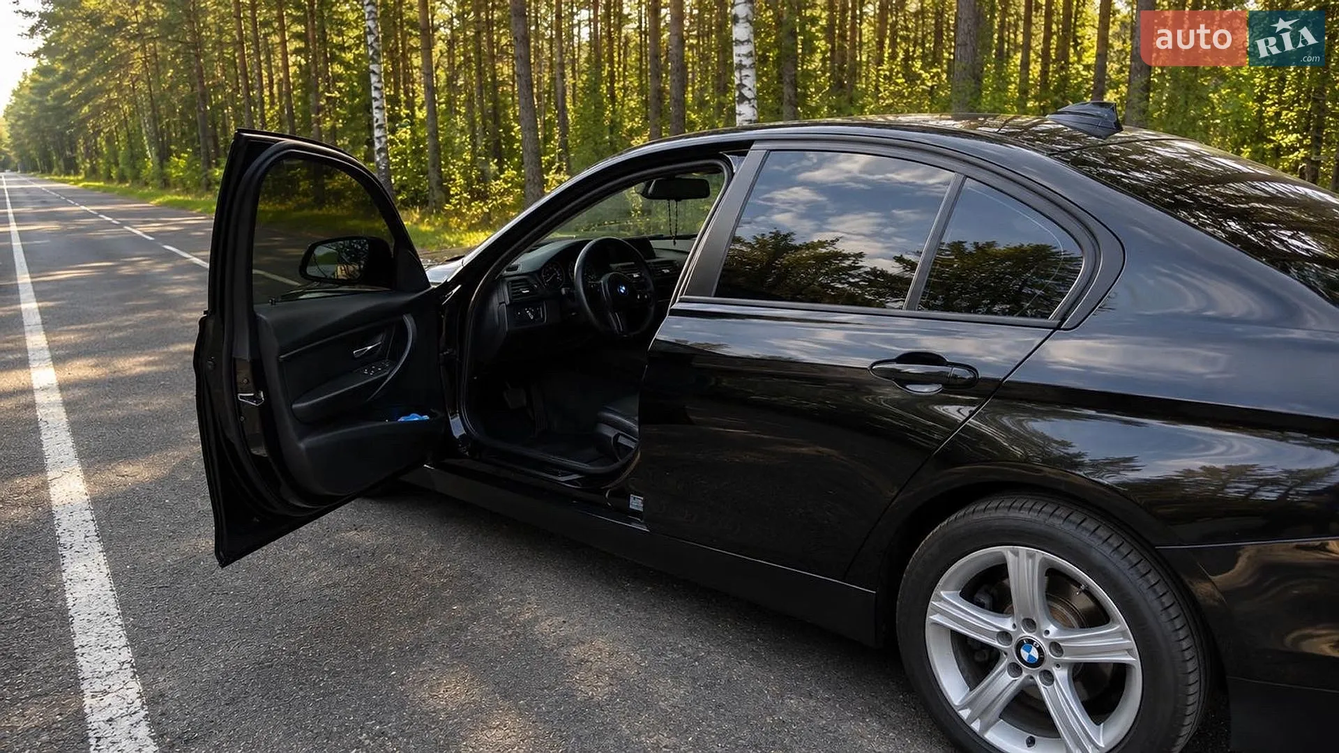 2013 BMW 3er - мініатюра 27