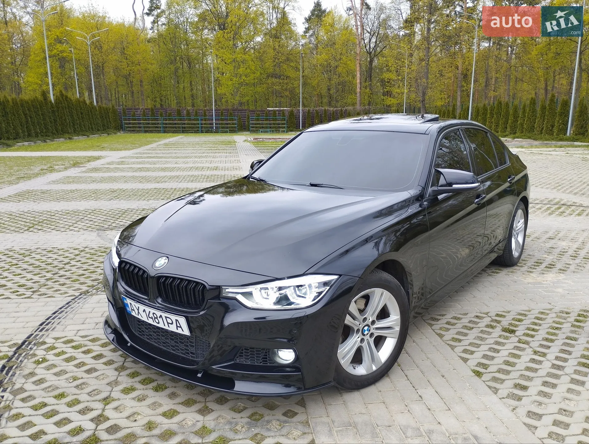 2015 BMW 3er - мініатюра 7