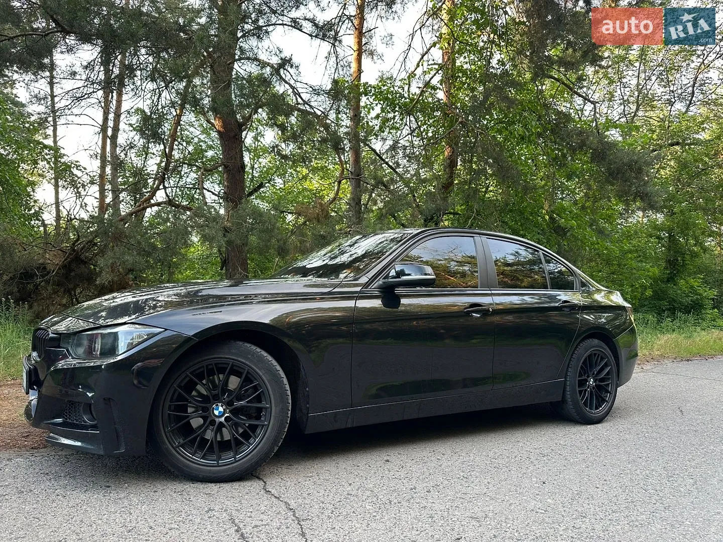 2013 BMW 3er - мініатюра 2
