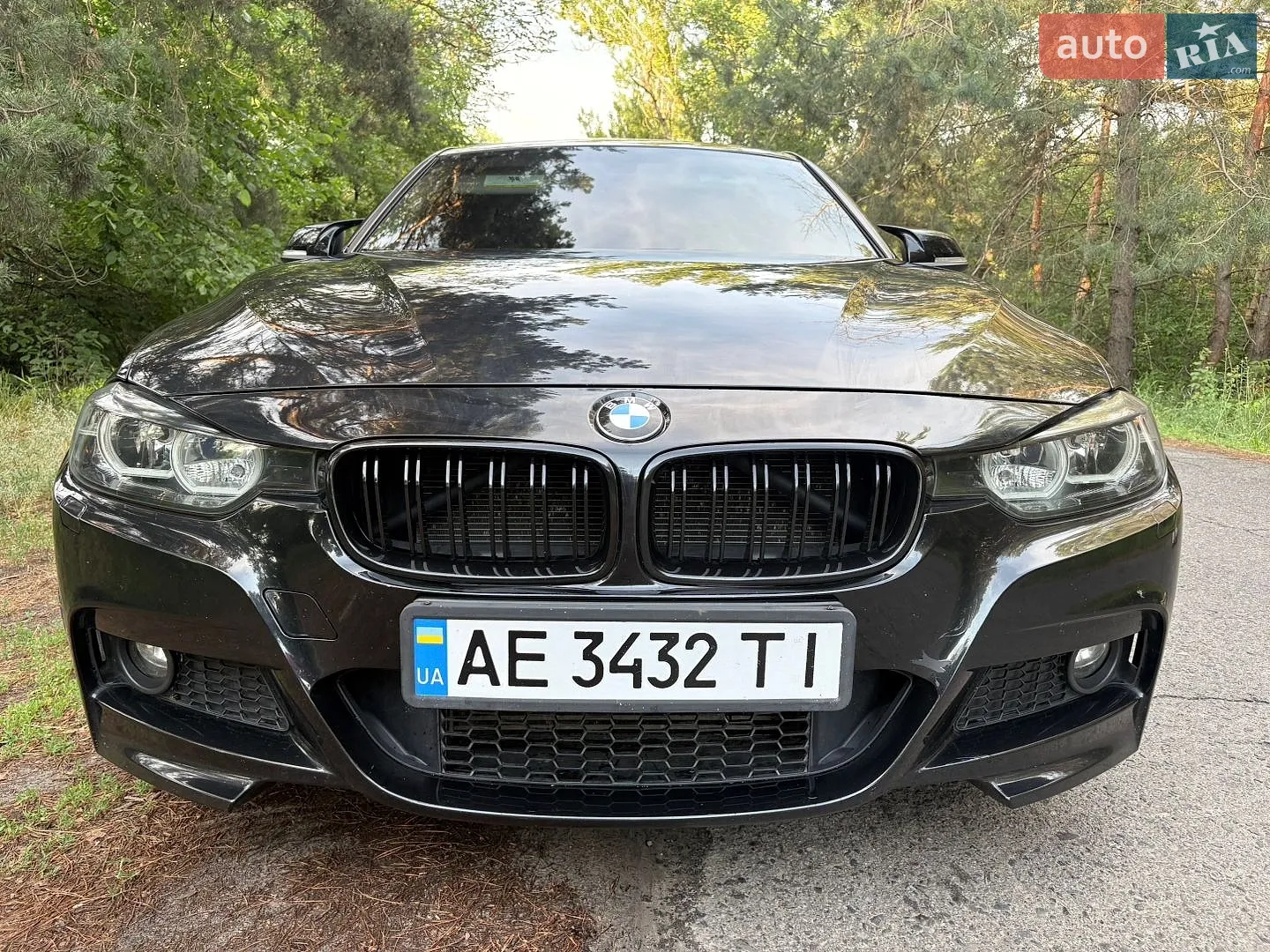 2013 BMW 3er - мініатюра 8