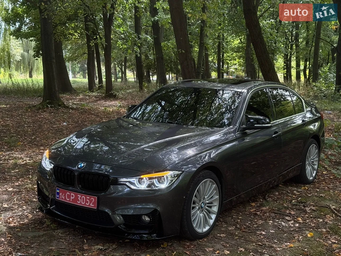 2013 BMW 3er - фото 1