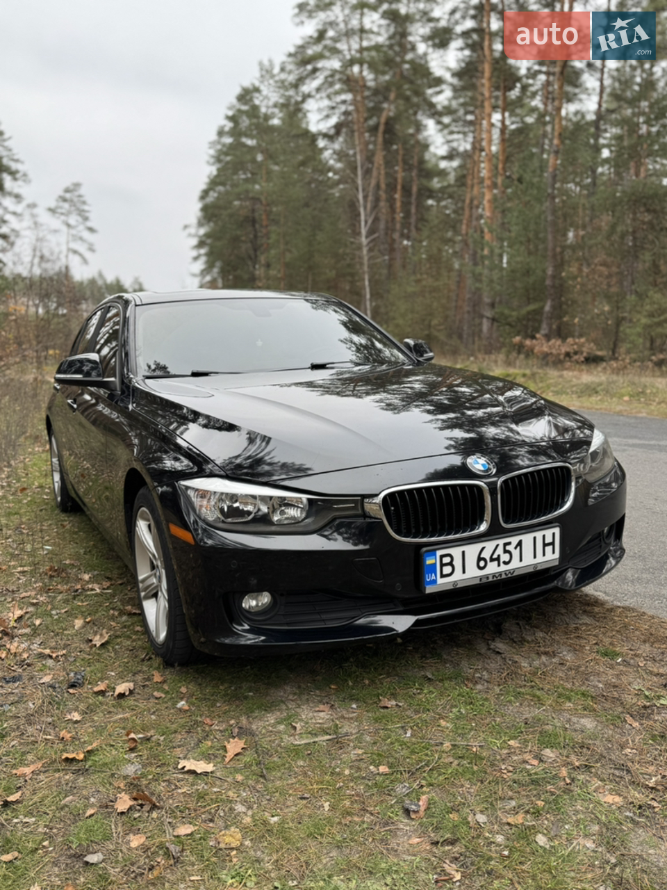2015 BMW 3er - мініатюра 31