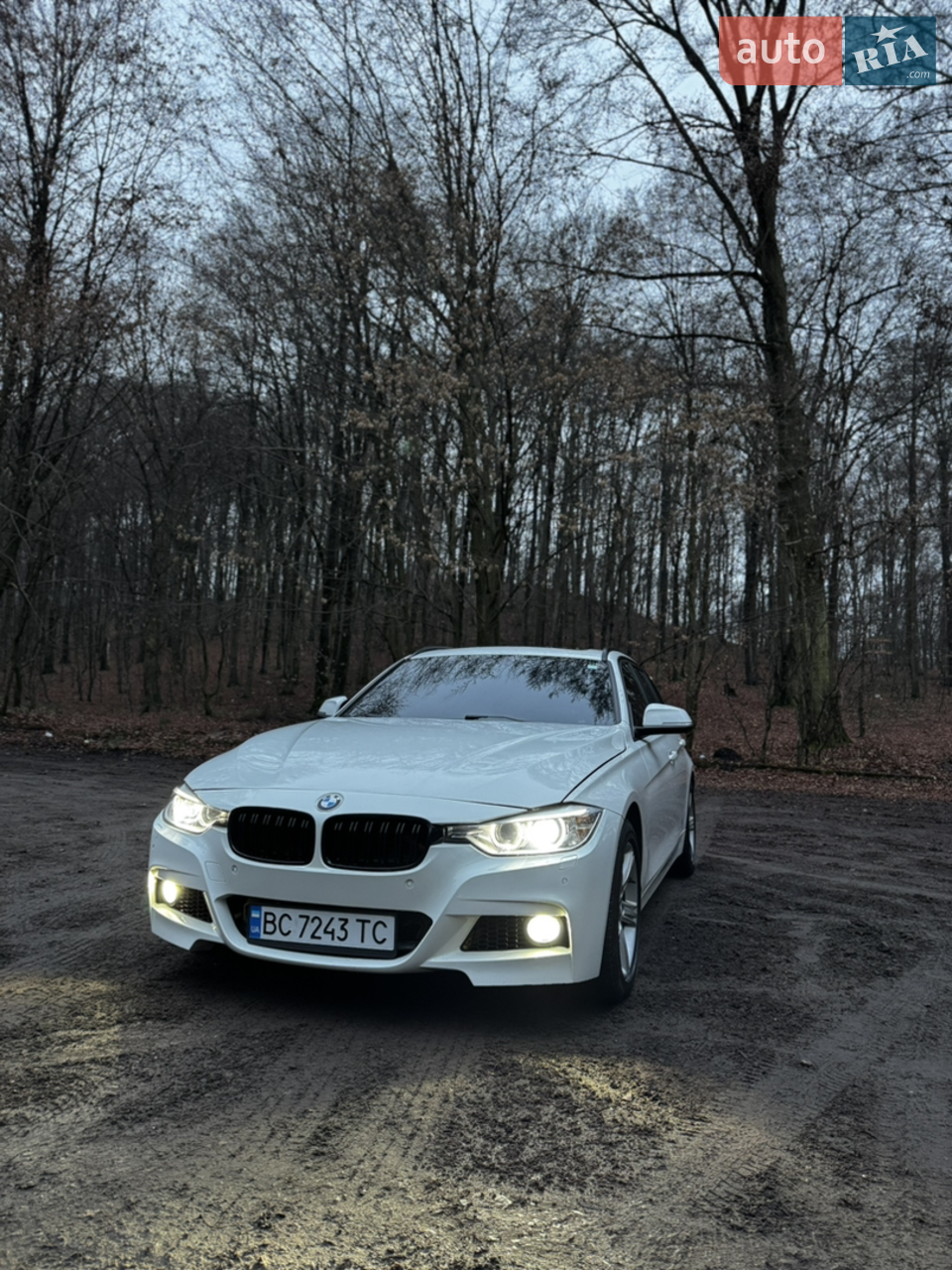 2014 BMW 3er - мініатюра 47