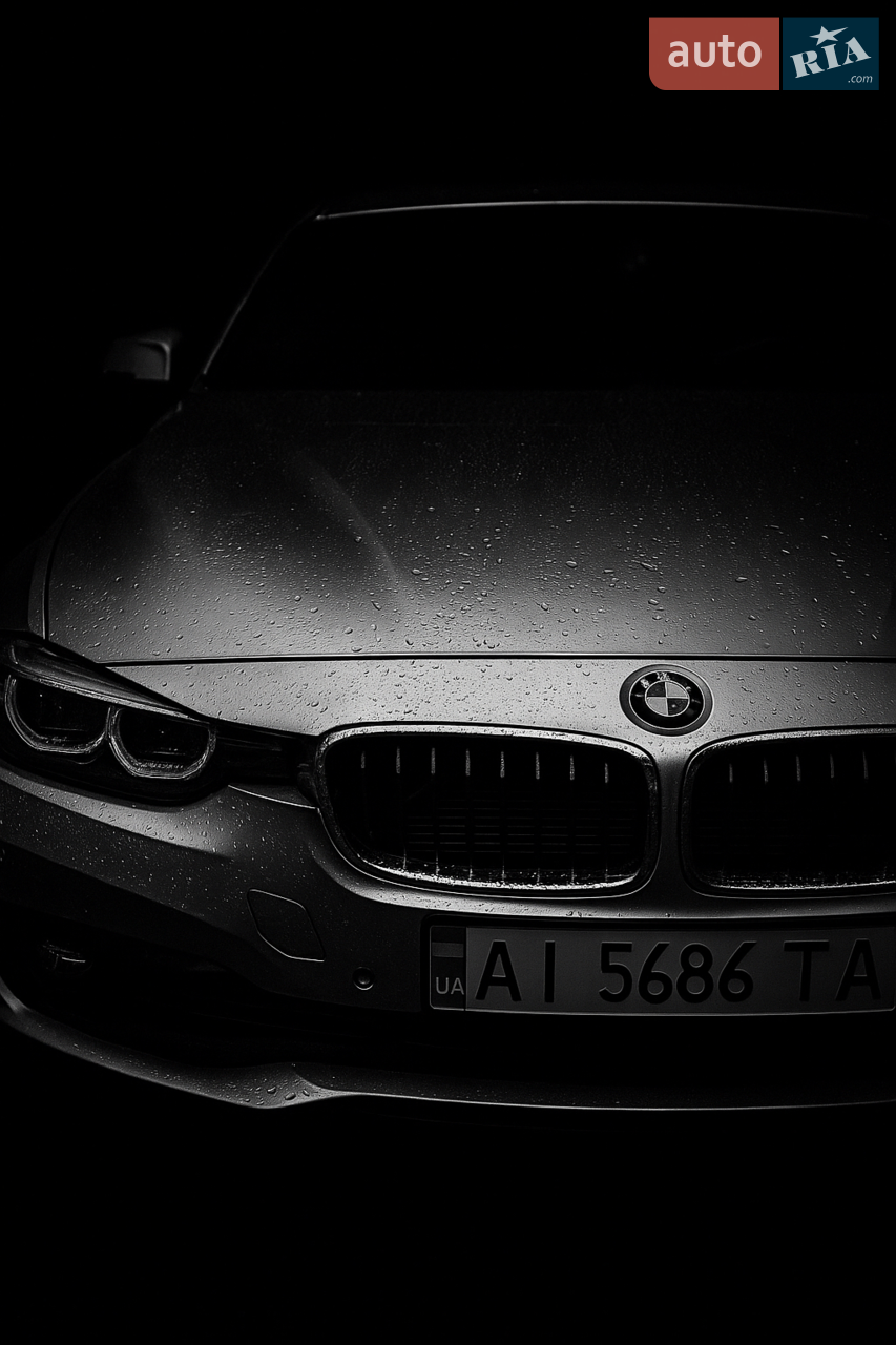 2016 BMW 3er - мініатюра 17