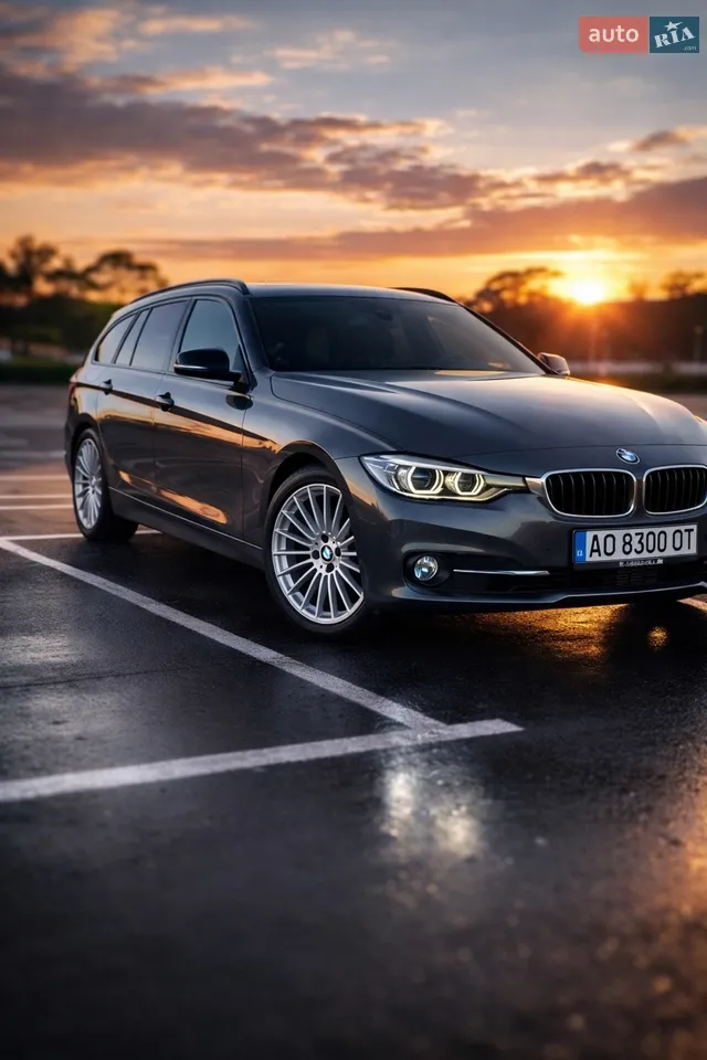 2013 BMW 3er - мініатюра 26