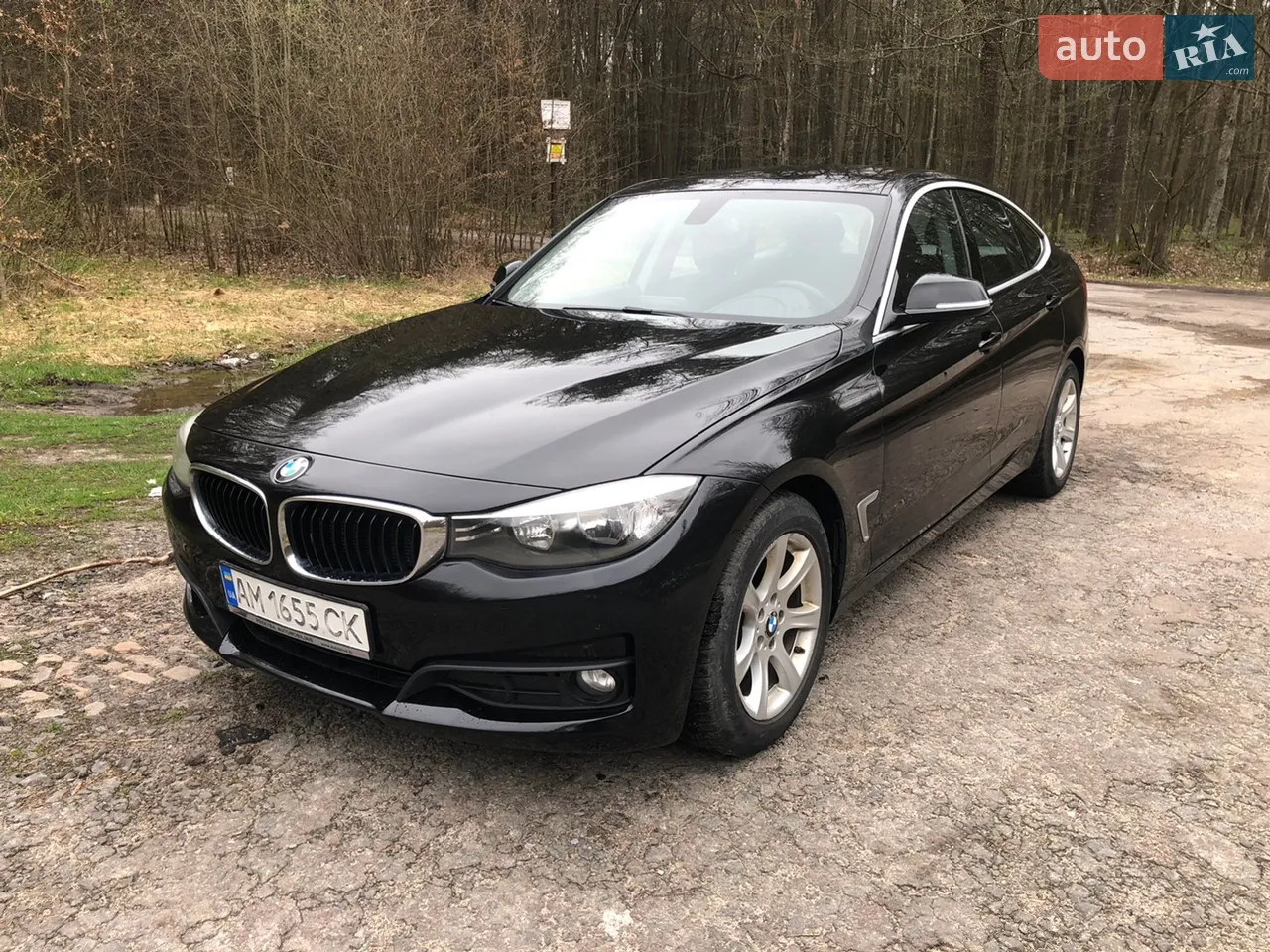 2014 BMW 3er - мініатюра 22