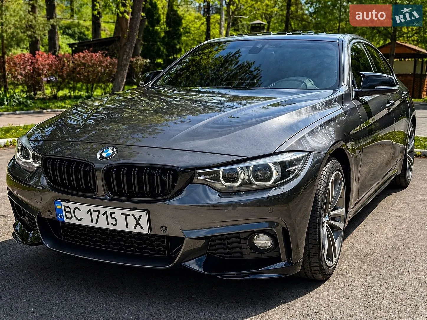 2017 BMW 4er - мініатюра 2