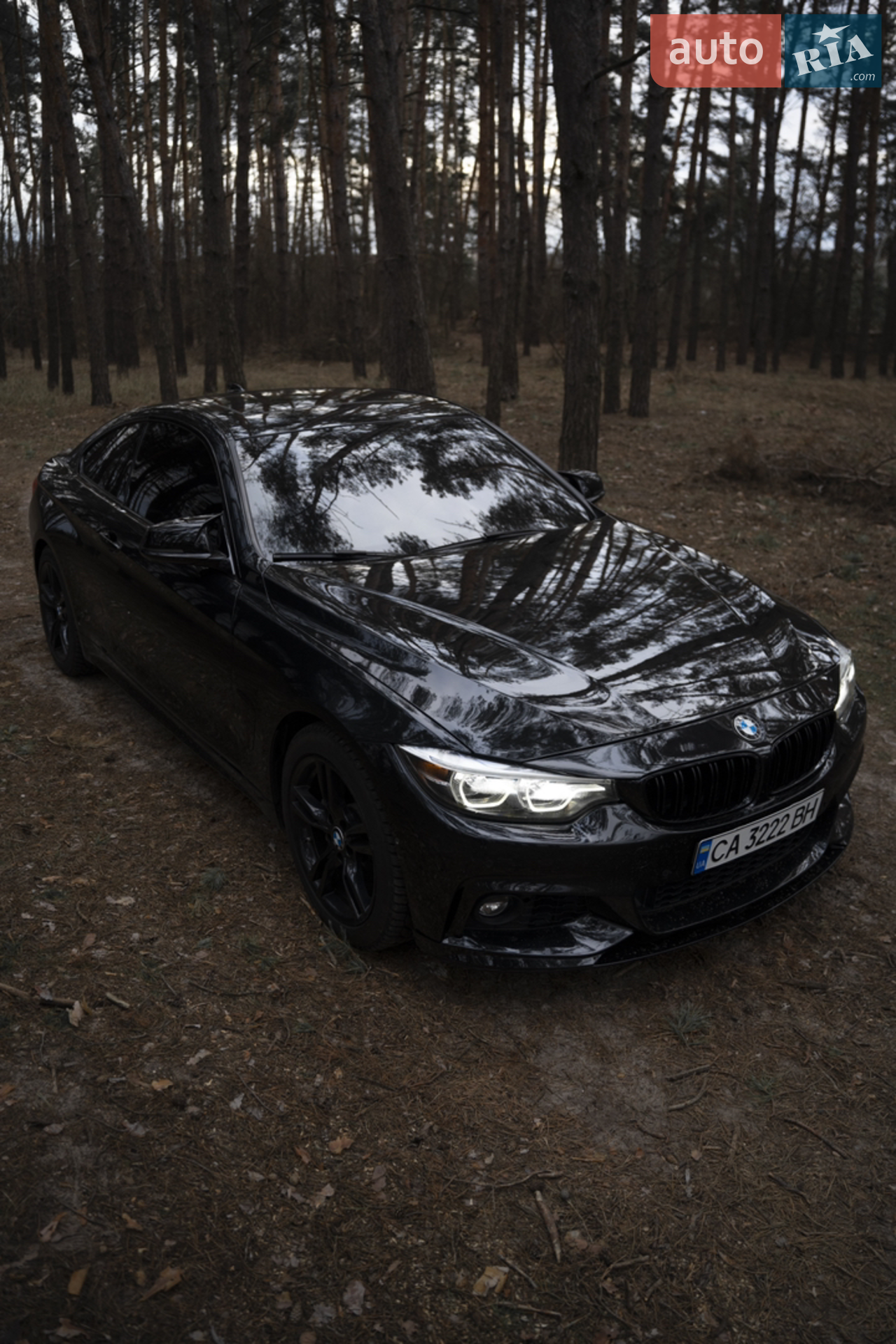 2017 BMW 4er - мініатюра 3
