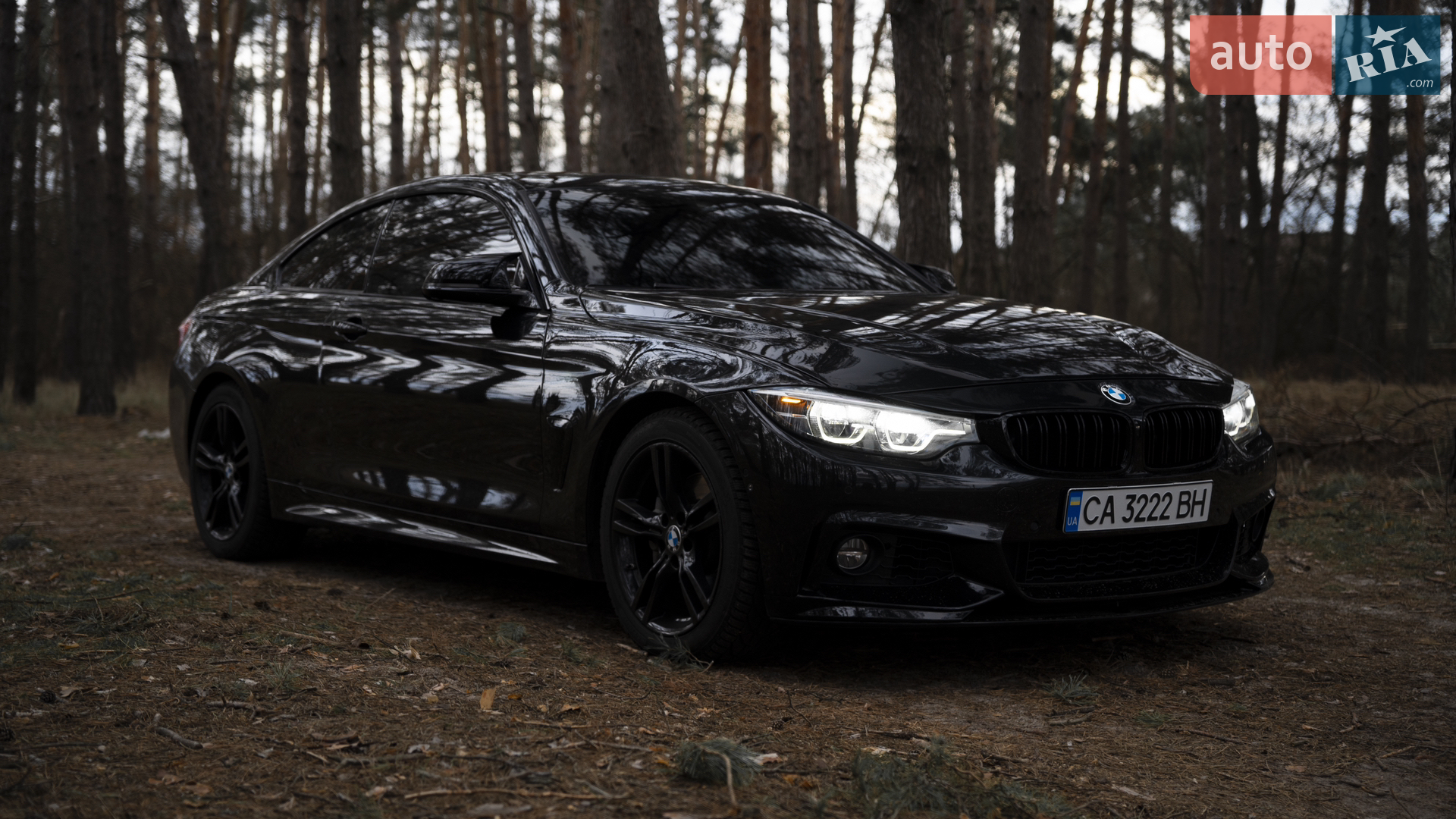 2017 BMW 4er - мініатюра 6