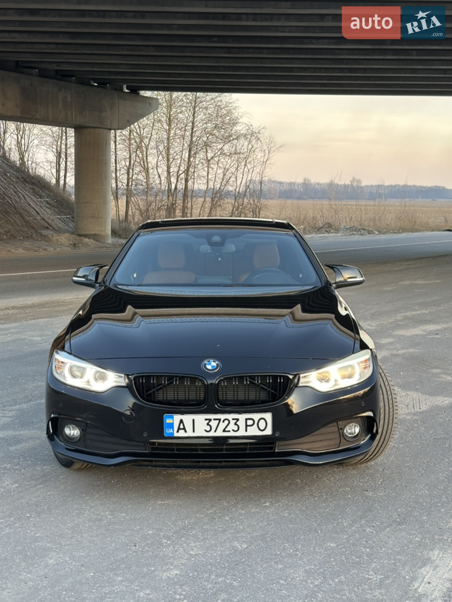 2016 BMW 4er - мініатюра 2
