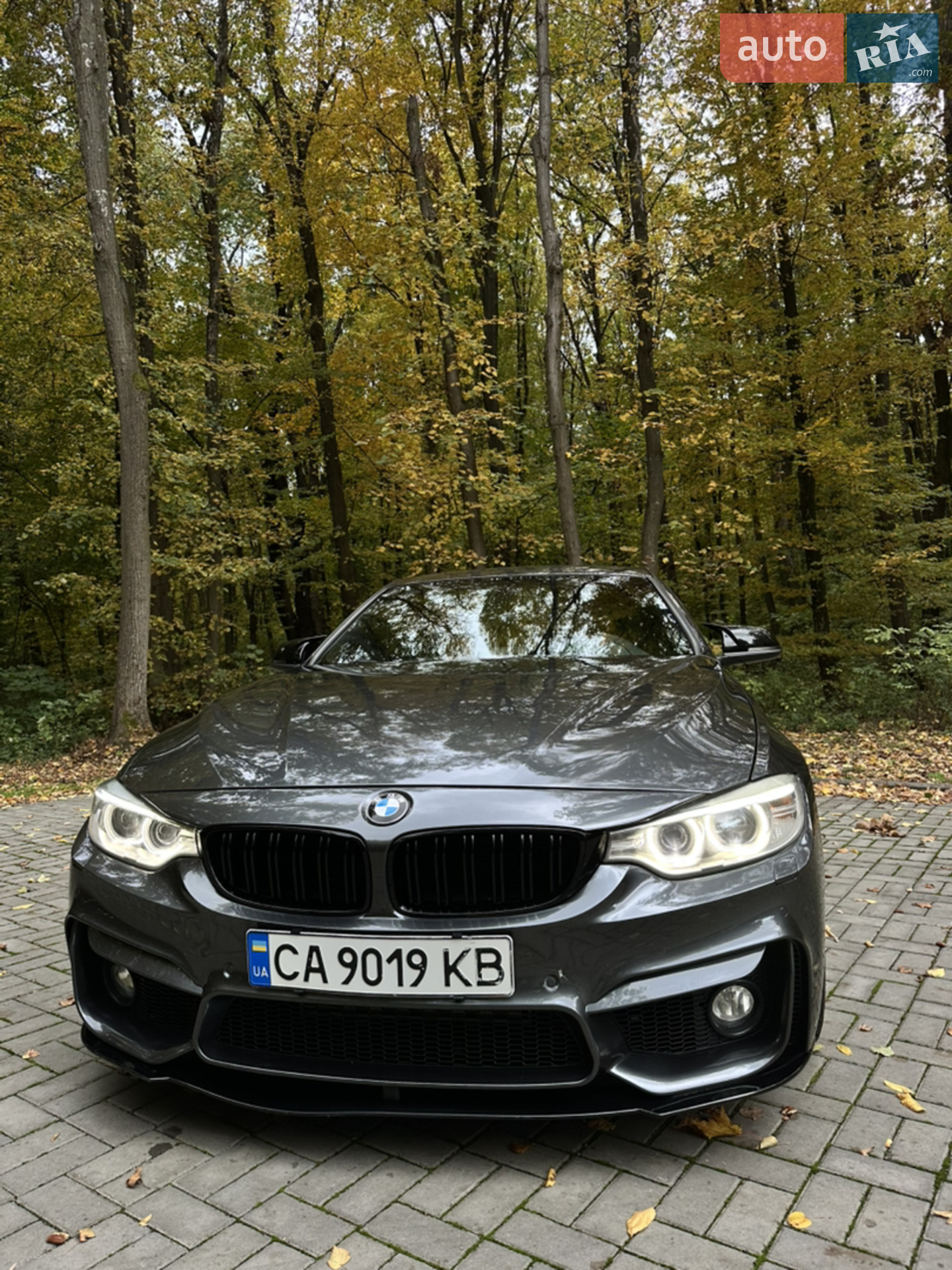 2016 BMW 4er - мініатюра 2