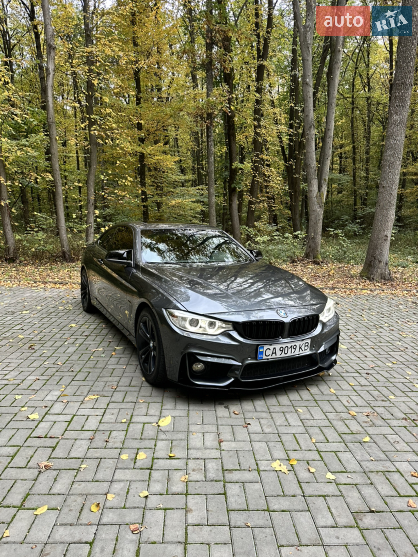 2016 BMW 4er - мініатюра 5