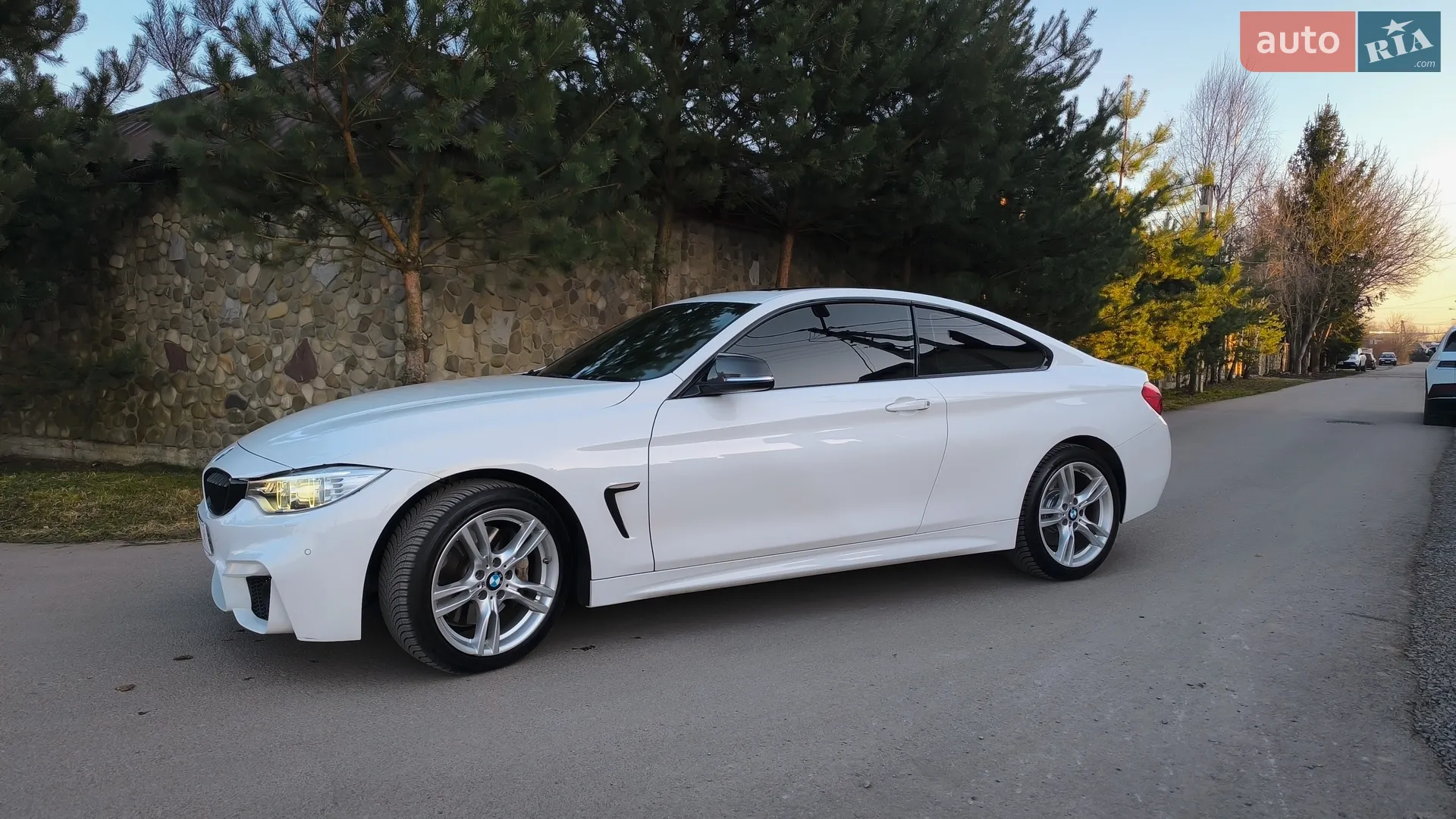 2015 BMW 4er - мініатюра 5