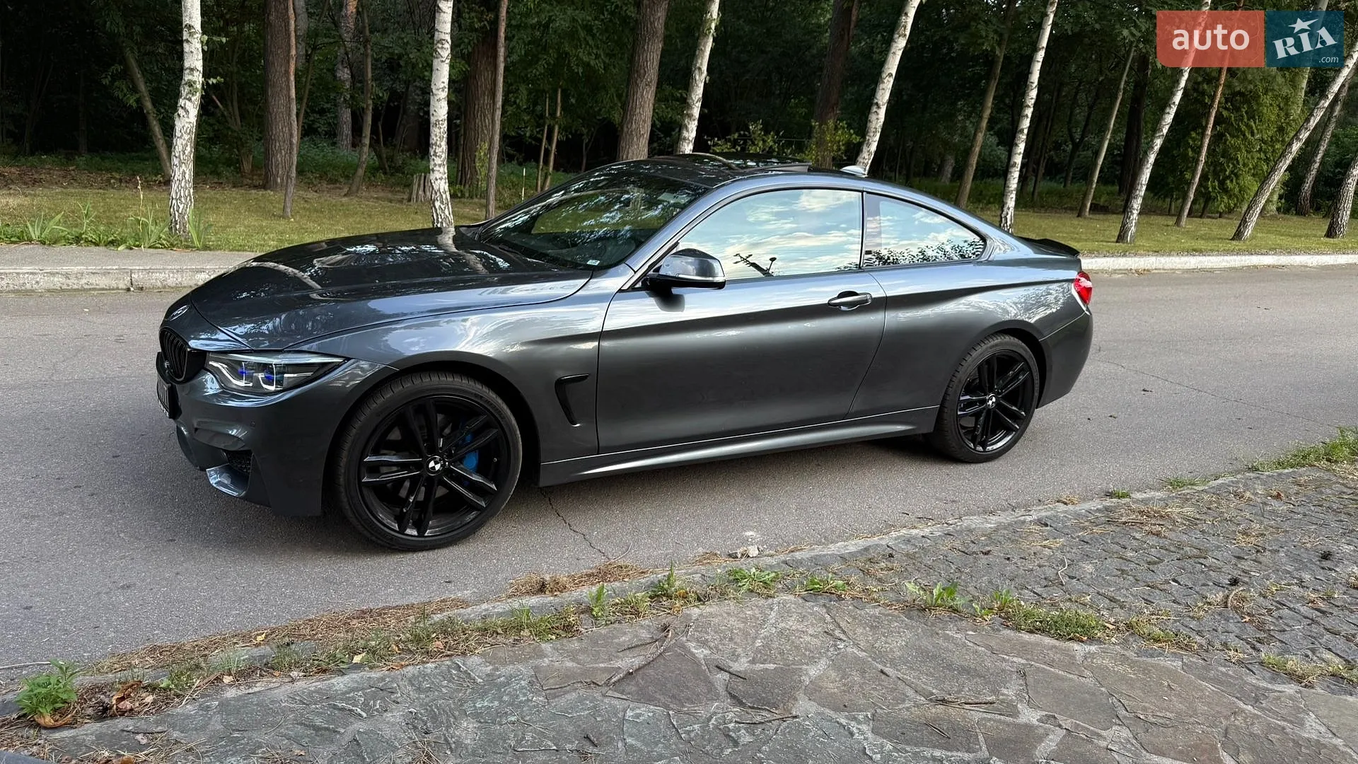 2017 BMW 4er - мініатюра 3