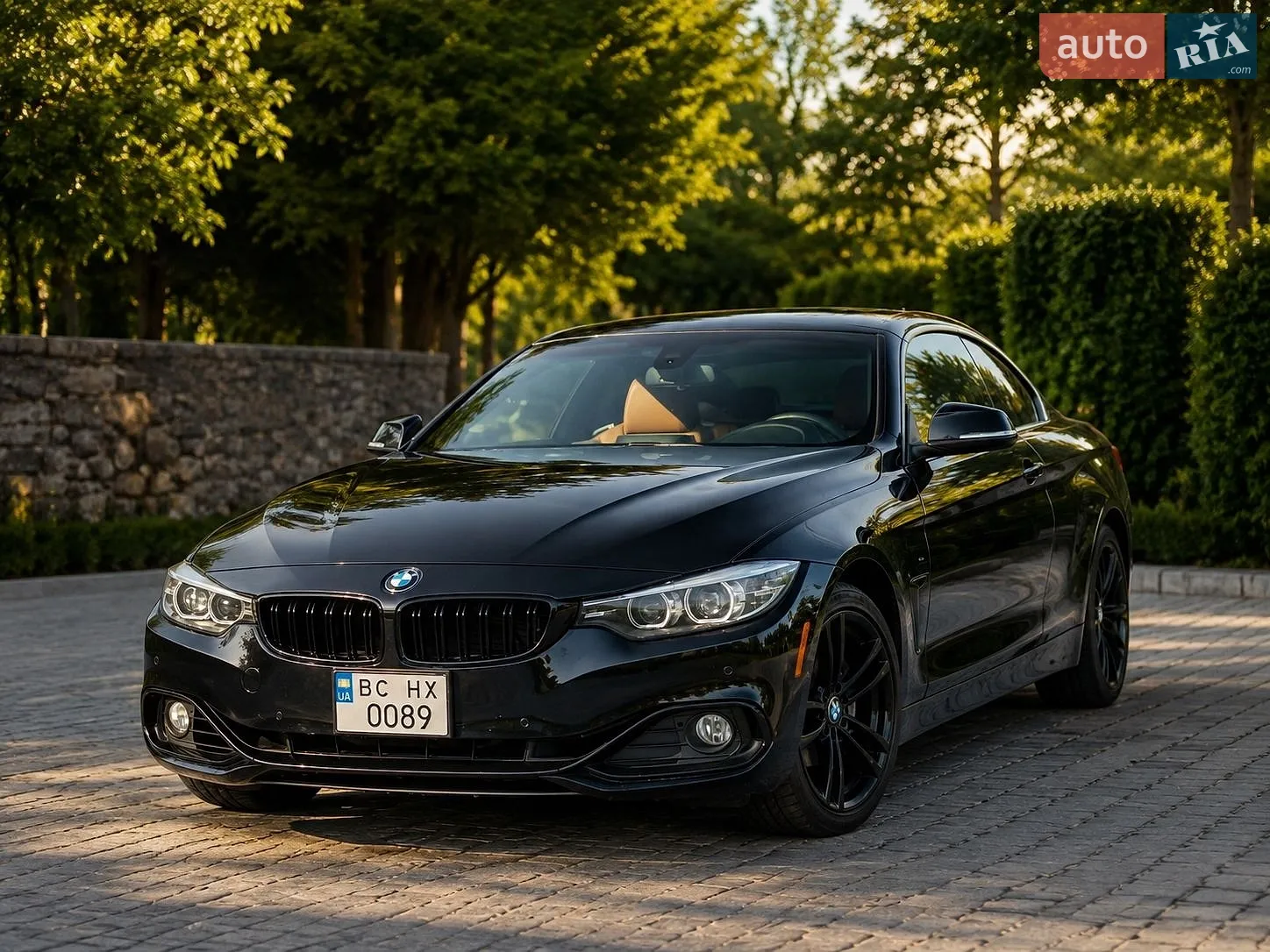 2017 BMW 4er - мініатюра 2