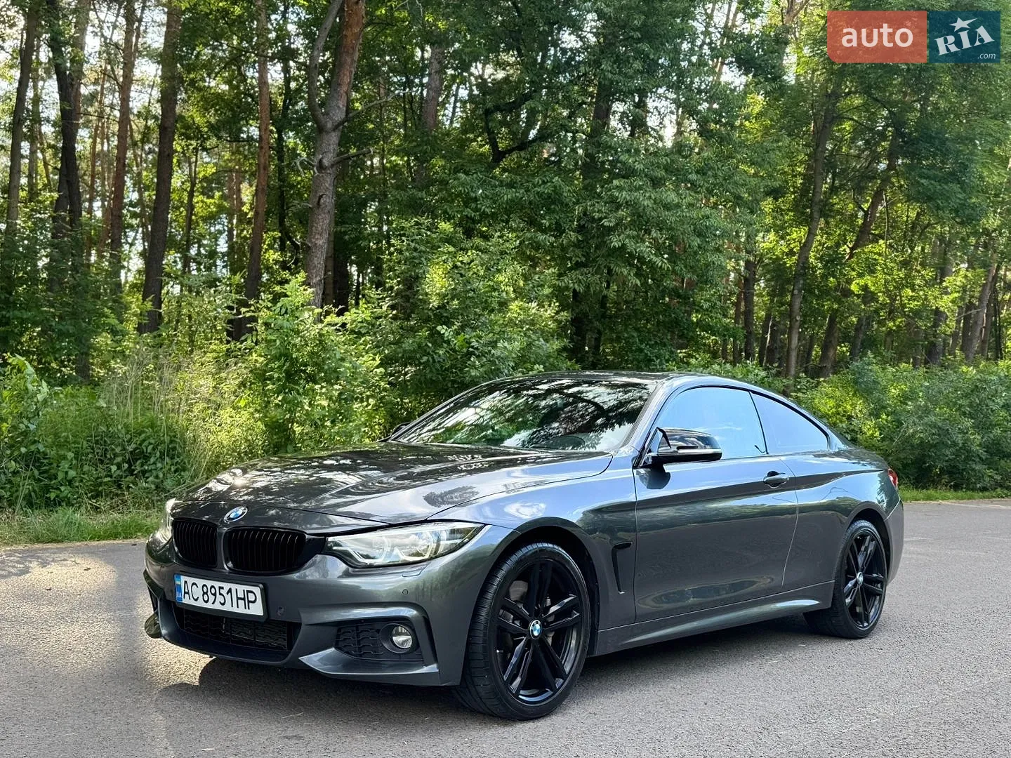 2017 BMW 4er - мініатюра 9