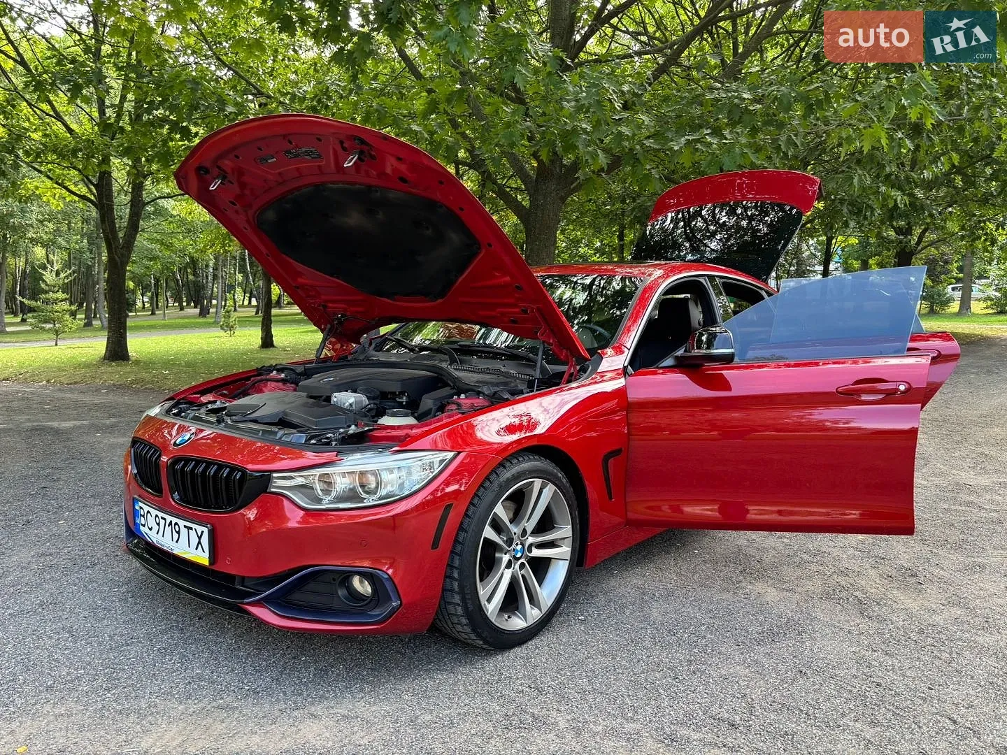 2015 BMW 4er - мініатюра 39