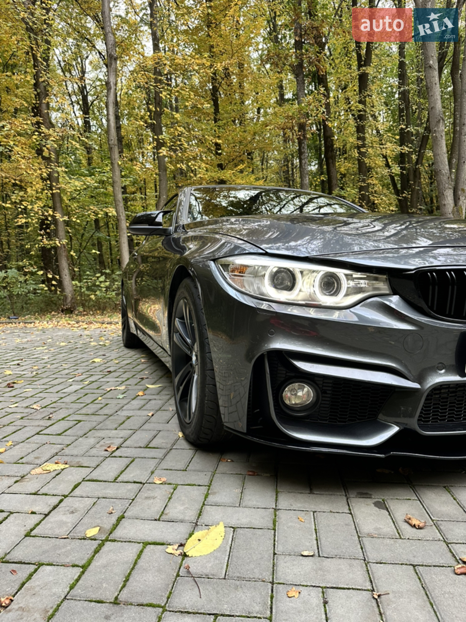 2016 BMW 4er - мініатюра 31
