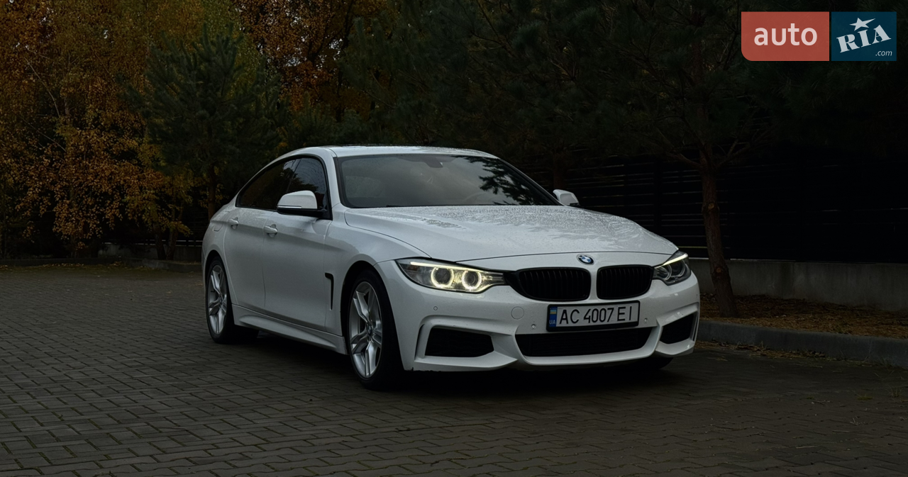 2015 BMW 4er - мініатюра 29