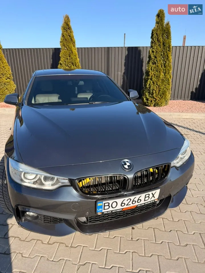 2016 BMW 4er - мініатюра 64