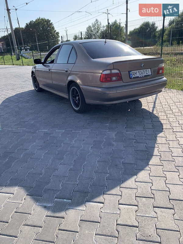 Седан BMW 5 Series 2003 в Звягелі