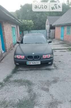 Седан BMW 5 Series 1997 в Ромнах