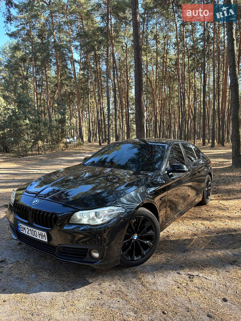 2015 BMW 5er - мініатюра 35