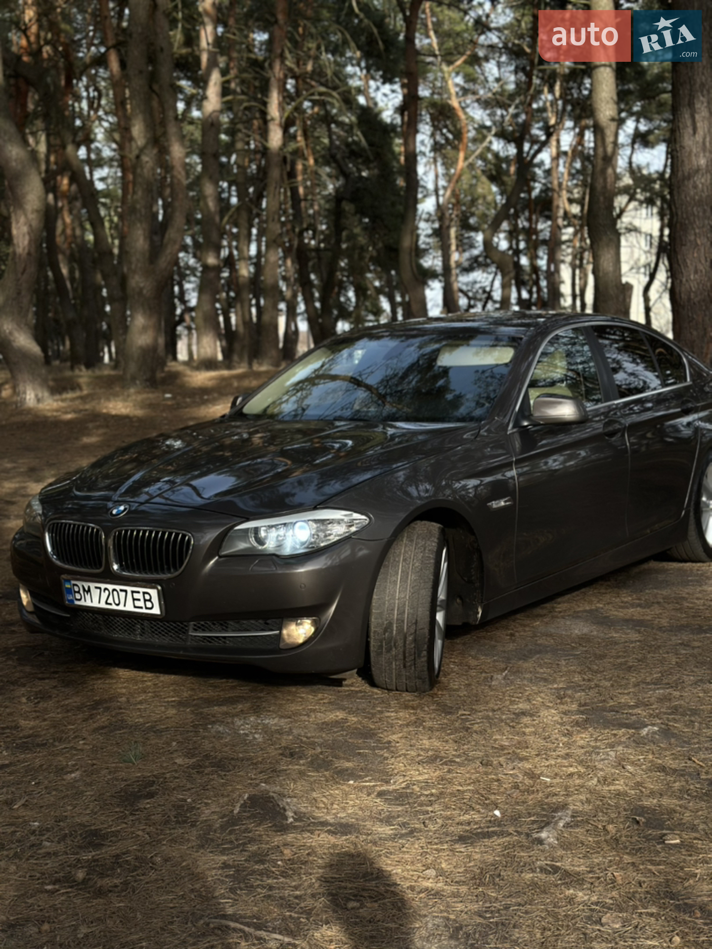 2010 BMW 5er - фото 1