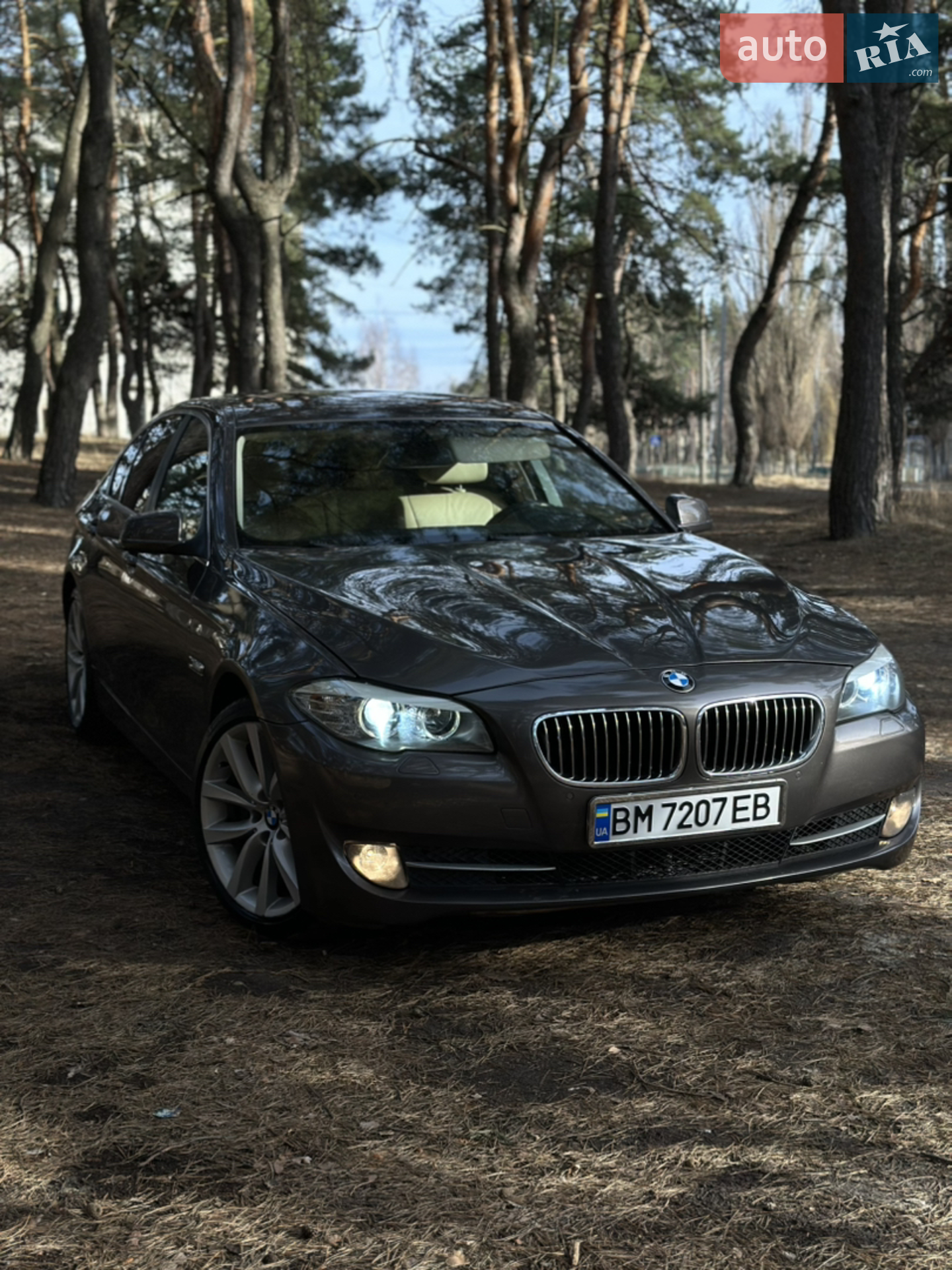 2010 BMW 5er - мініатюра 10