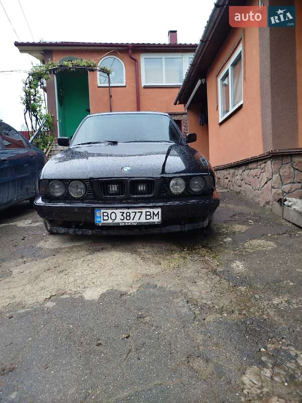 BMW 5 Series 1995 BMW 5 Series 1995