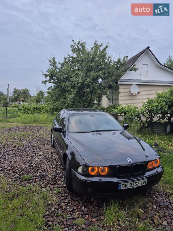 Седан BMW 5 Series 2003 в Клесовому фото 2 Седан BMW 5 Series 2003 в Клесовому