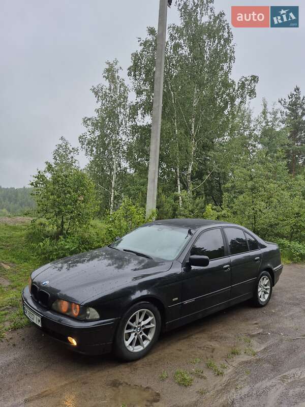 Седан BMW 5 Series 2003 в Клесовому фото 5 Седан BMW 5 Series 2003 в Клесовому