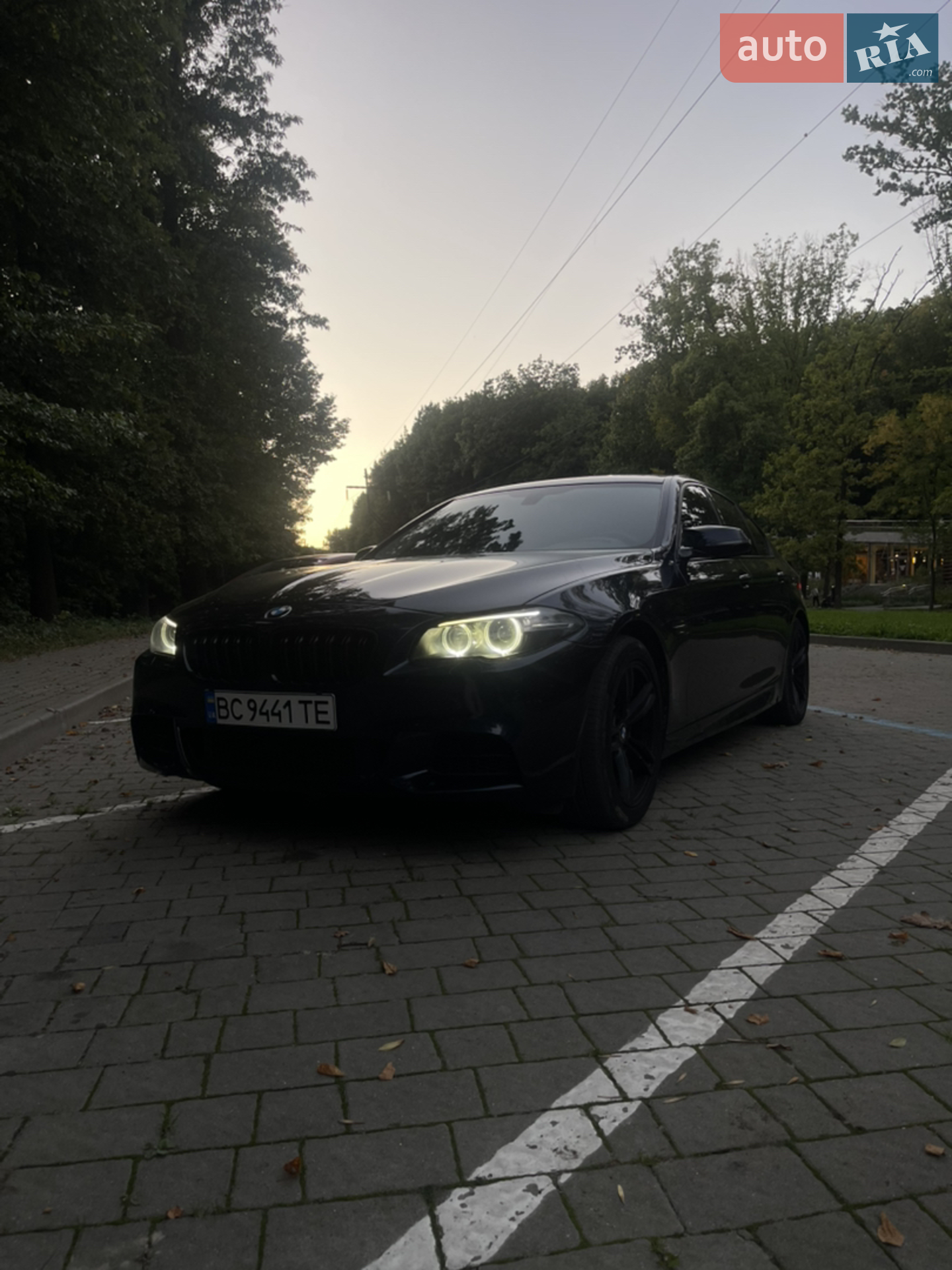 2013 BMW 5er - мініатюра 2