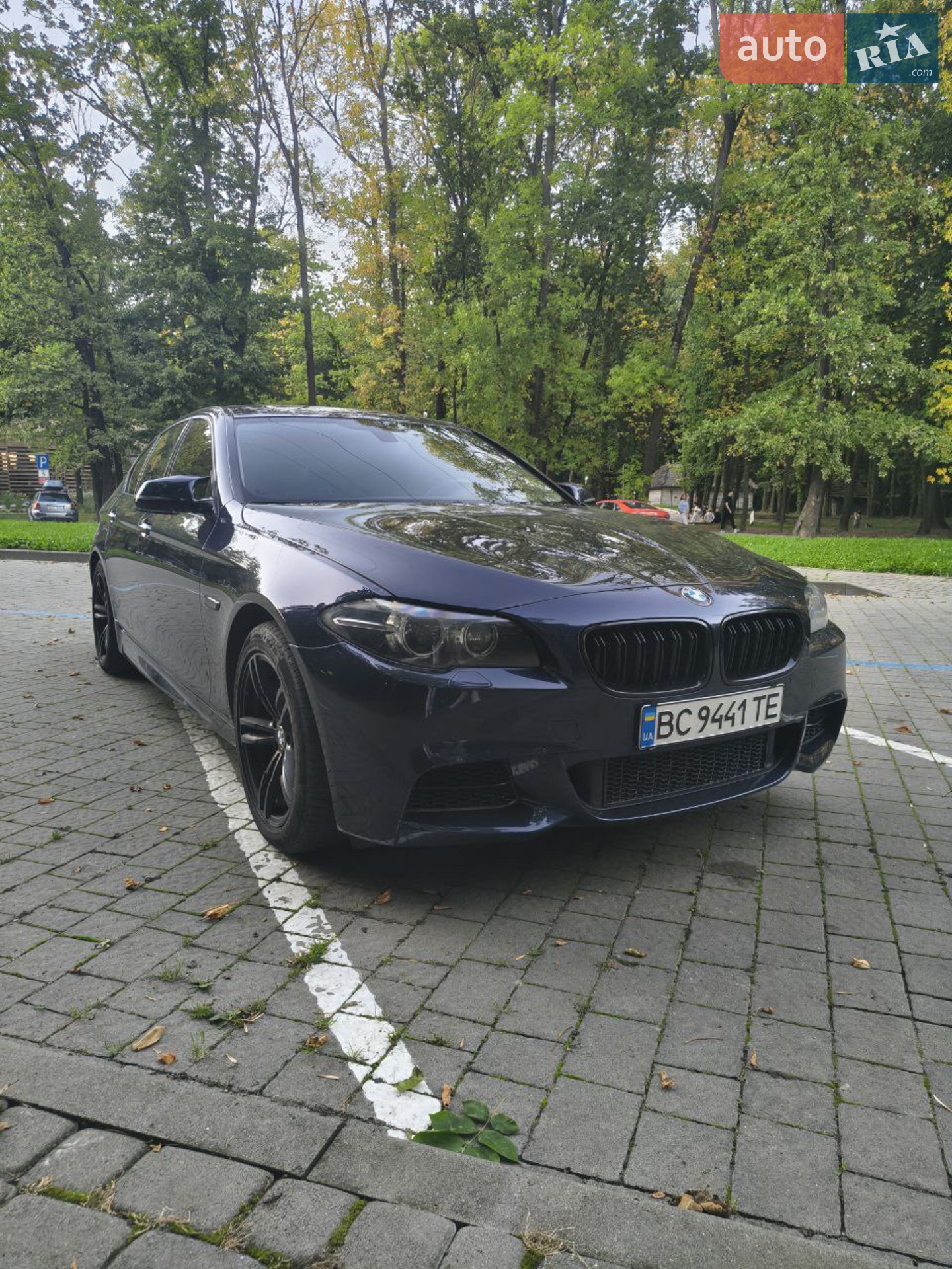 2013 BMW 5er - мініатюра 10