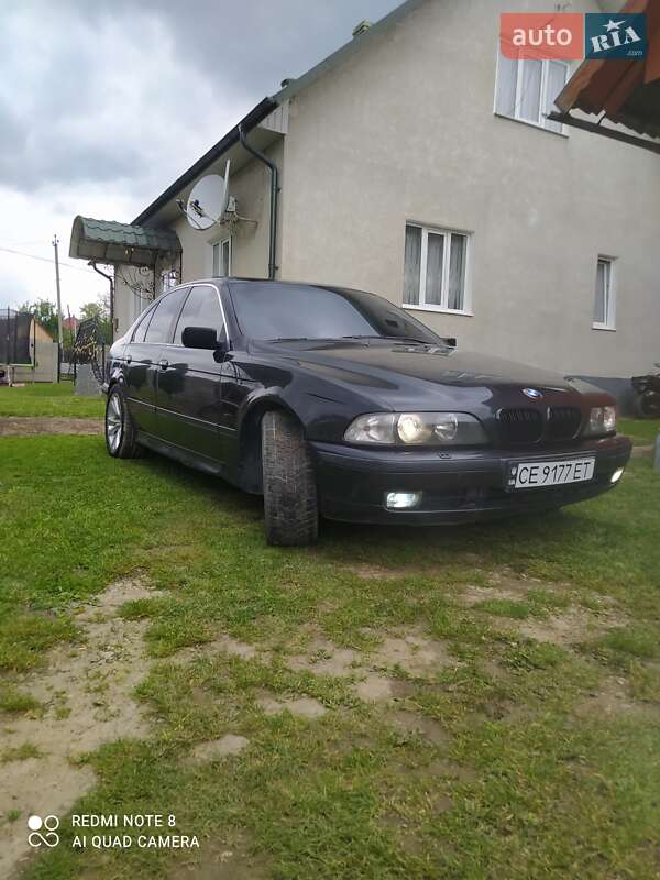 Седан BMW 5 Series 1996 в Сторожинці фото 9 Седан BMW 5 Series 1996 в Сторожинці