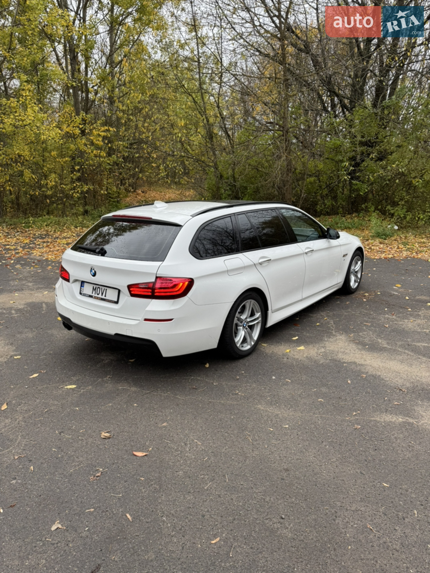 2013 BMW 5er - мініатюра 10