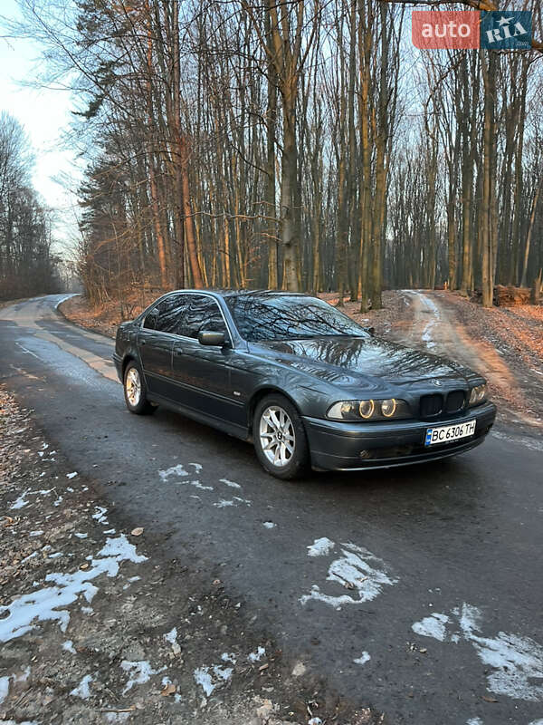 BMW 5 Series 2003 BMW 5 Series 2003