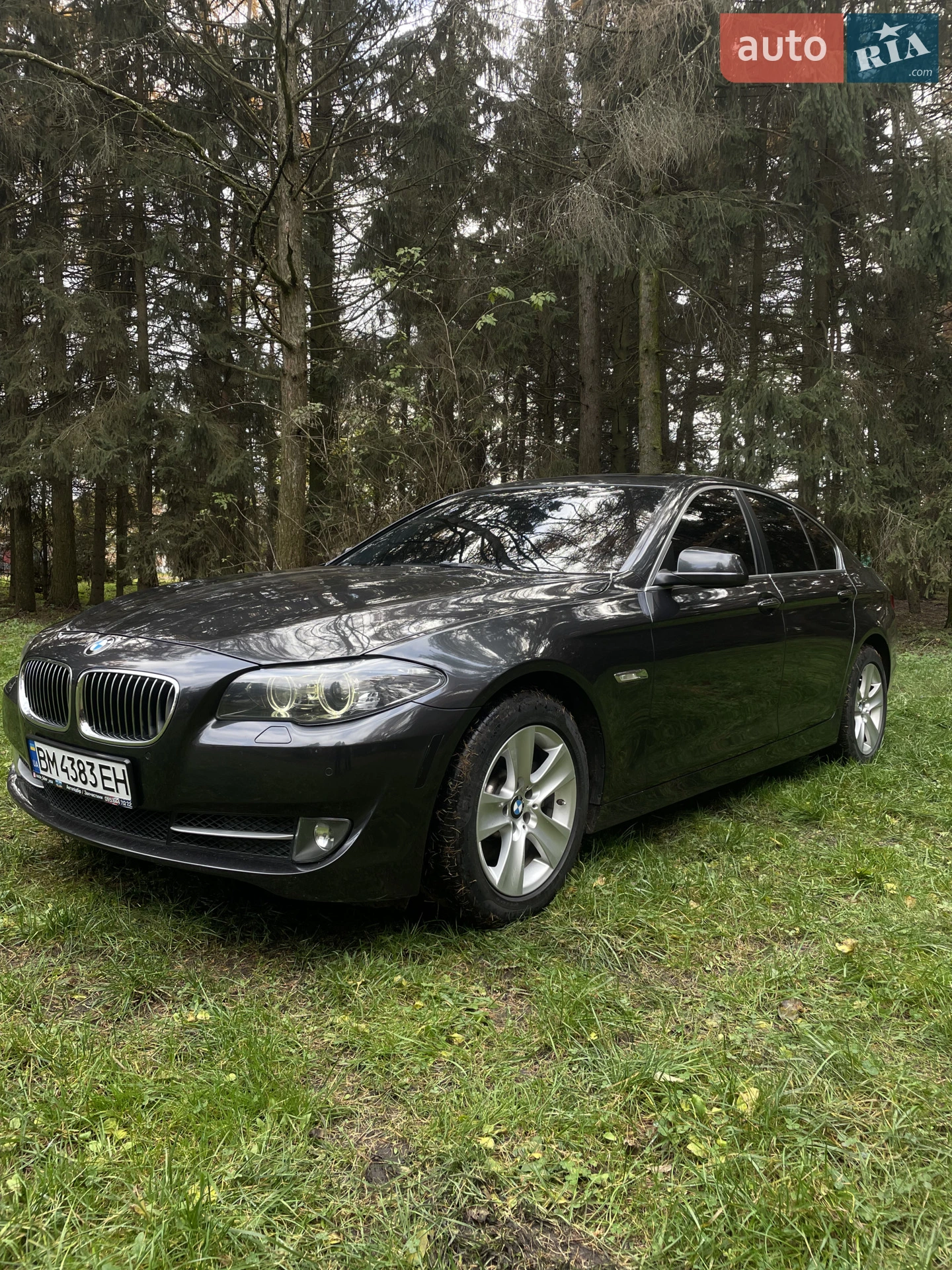2013 BMW 5er - мініатюра 3