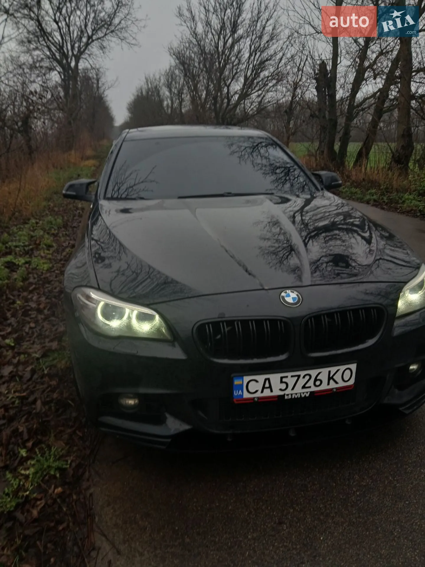 2013 BMW 5er - мініатюра 2