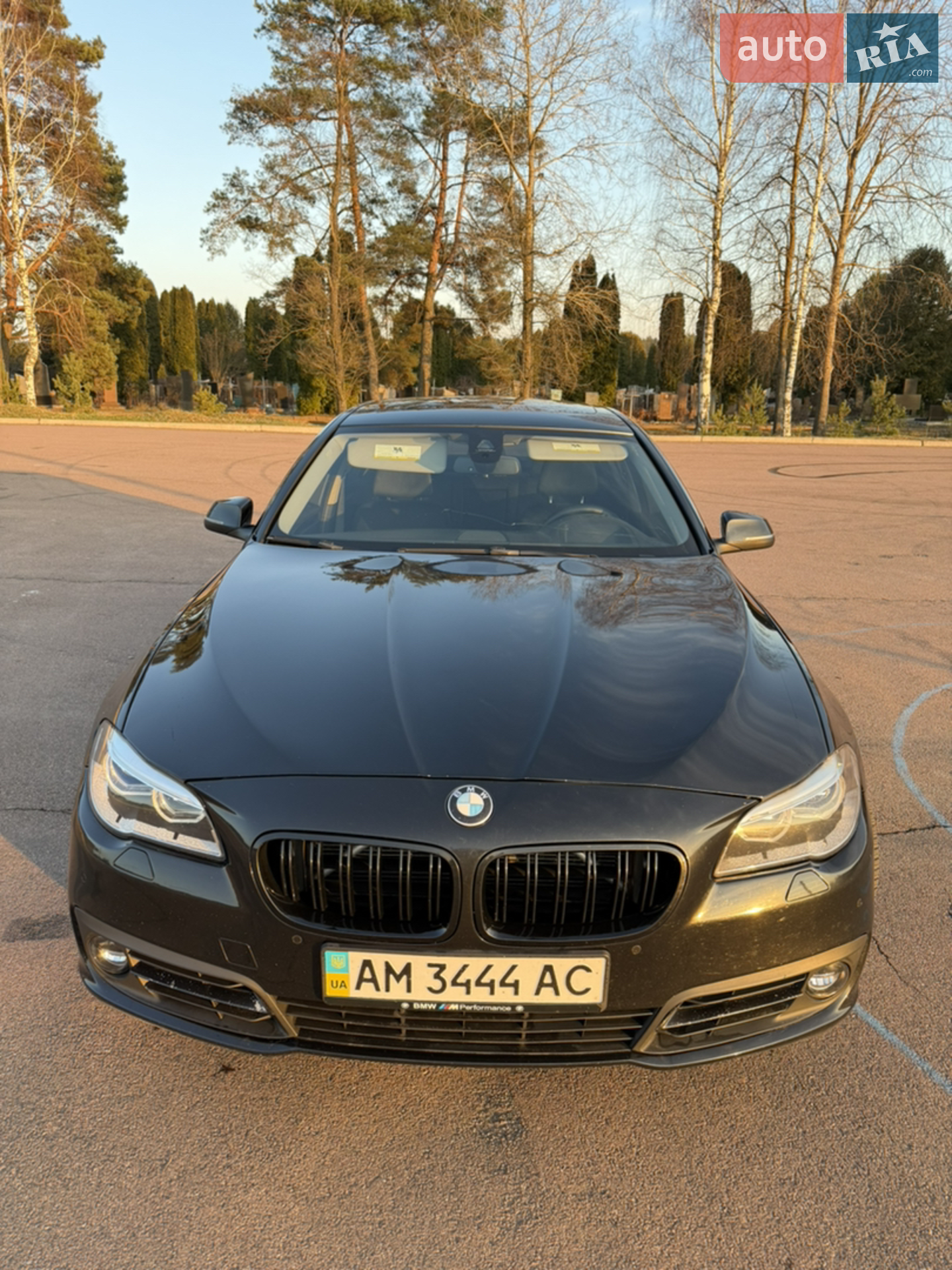2014 BMW 5er - мініатюра 4
