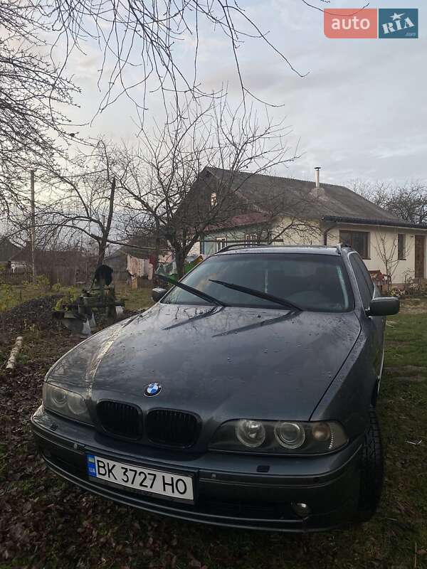 BMW 5 Series 2003 BMW 5 Series 2003