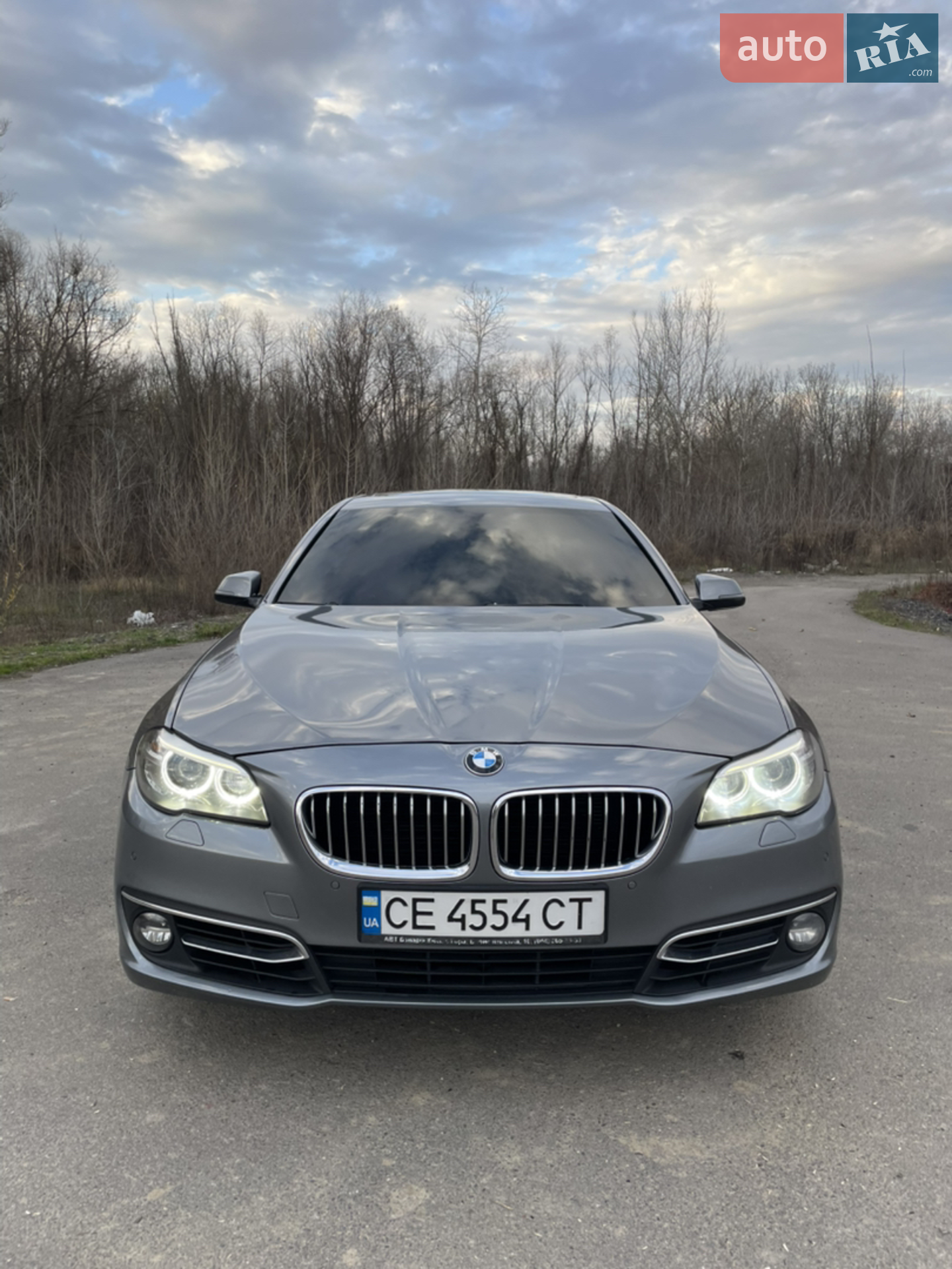 2014 BMW 5er - мініатюра 2