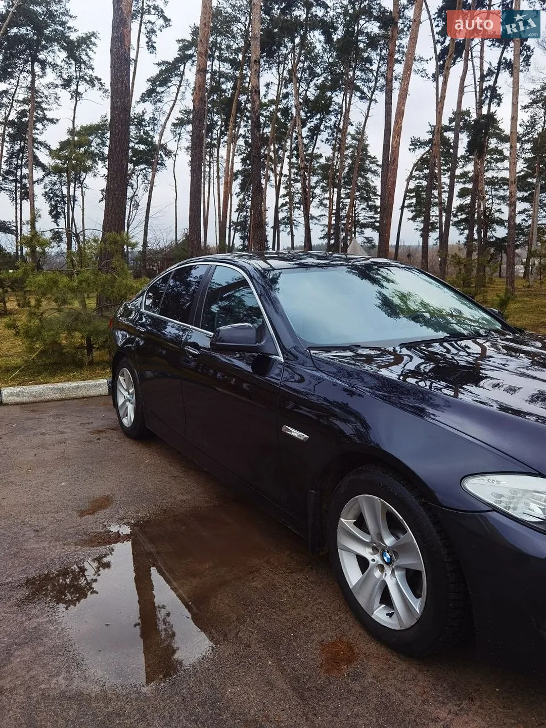 2010 BMW 5er - мініатюра 3