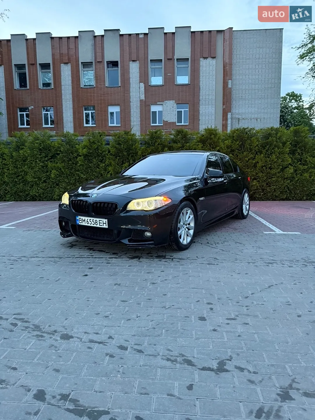 2010 BMW 5er - мініатюра 2