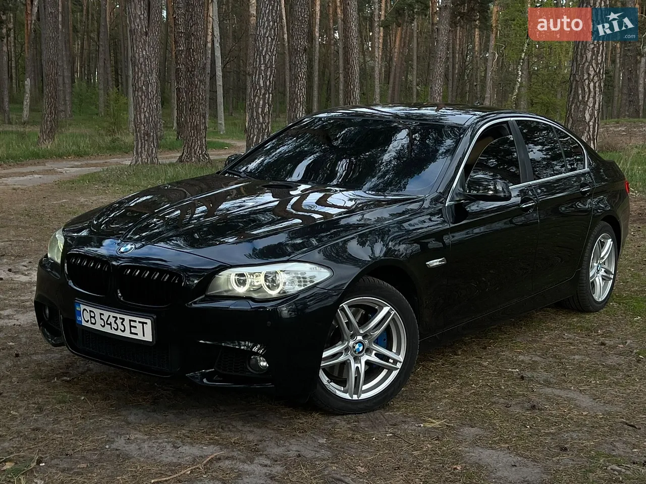 2010 BMW 5er - мініатюра 46