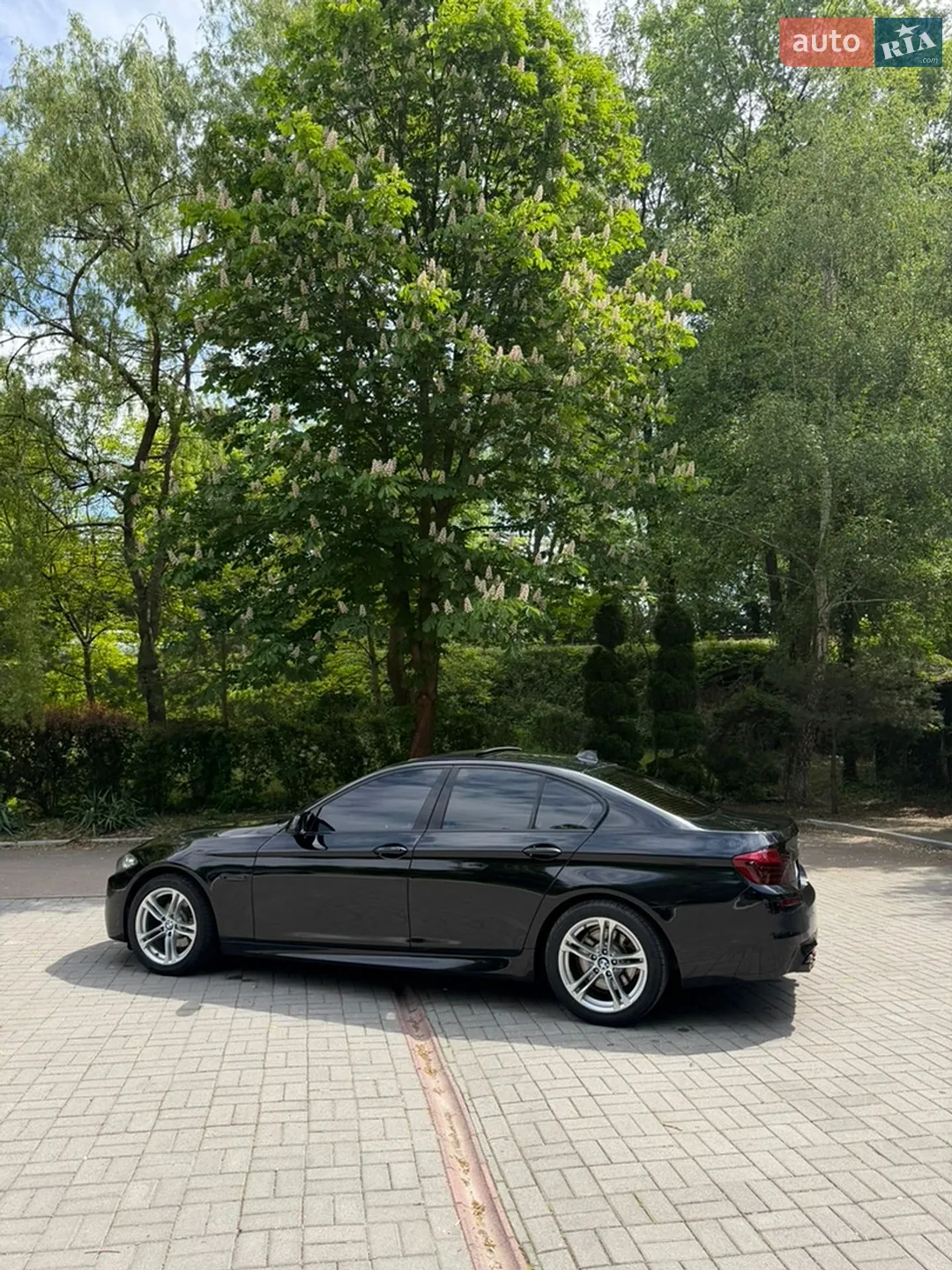 2015 BMW 5er - мініатюра 9