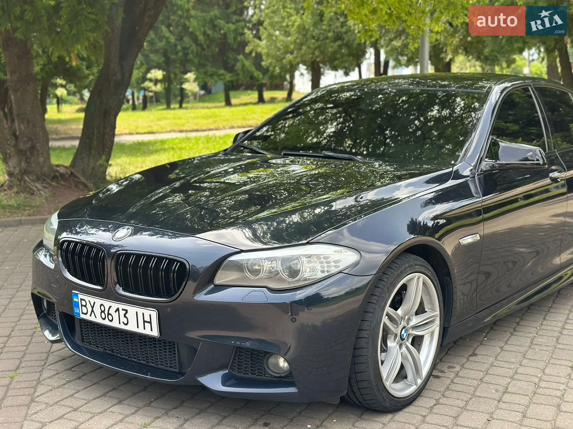 2013 BMW 5er - мініатюра 9